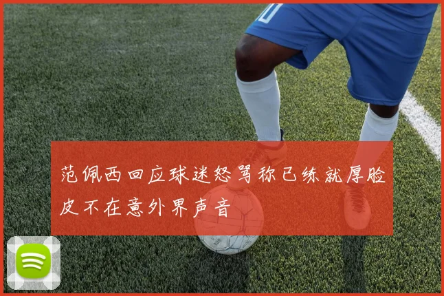 范佩西回应球迷怒骂称已练就厚脸皮不在意外界声音