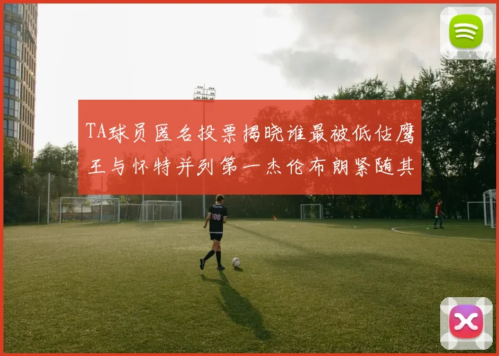 TA球员匿名投票揭晓谁最被低估鹰王与怀特并列第一杰伦布朗紧随其后